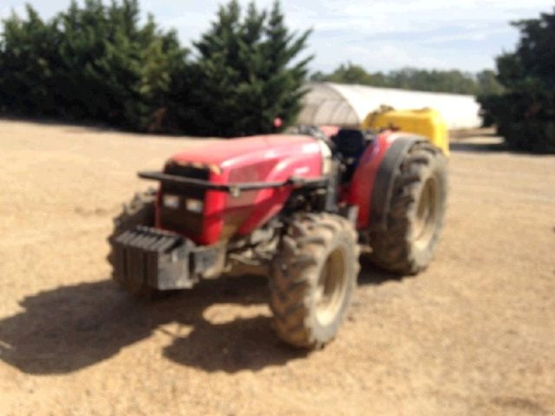 Massey Ferguson 3455 F Weinbautraktor