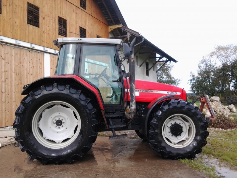 Massey Ferguson 6290 Tractor