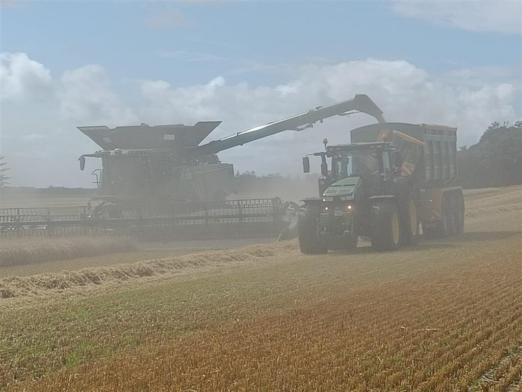 Überladewagen tip Western WF25GR --Meget Udstyr som standart--, Gebrauchtmaschine in Mariager (Poză 2)