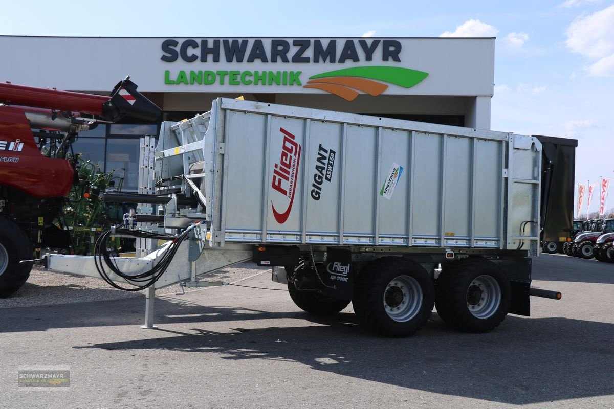 Abschiebewagen typu Fliegl ASW 160  Fox, Neumaschine v Gampern (Obrázek 1)