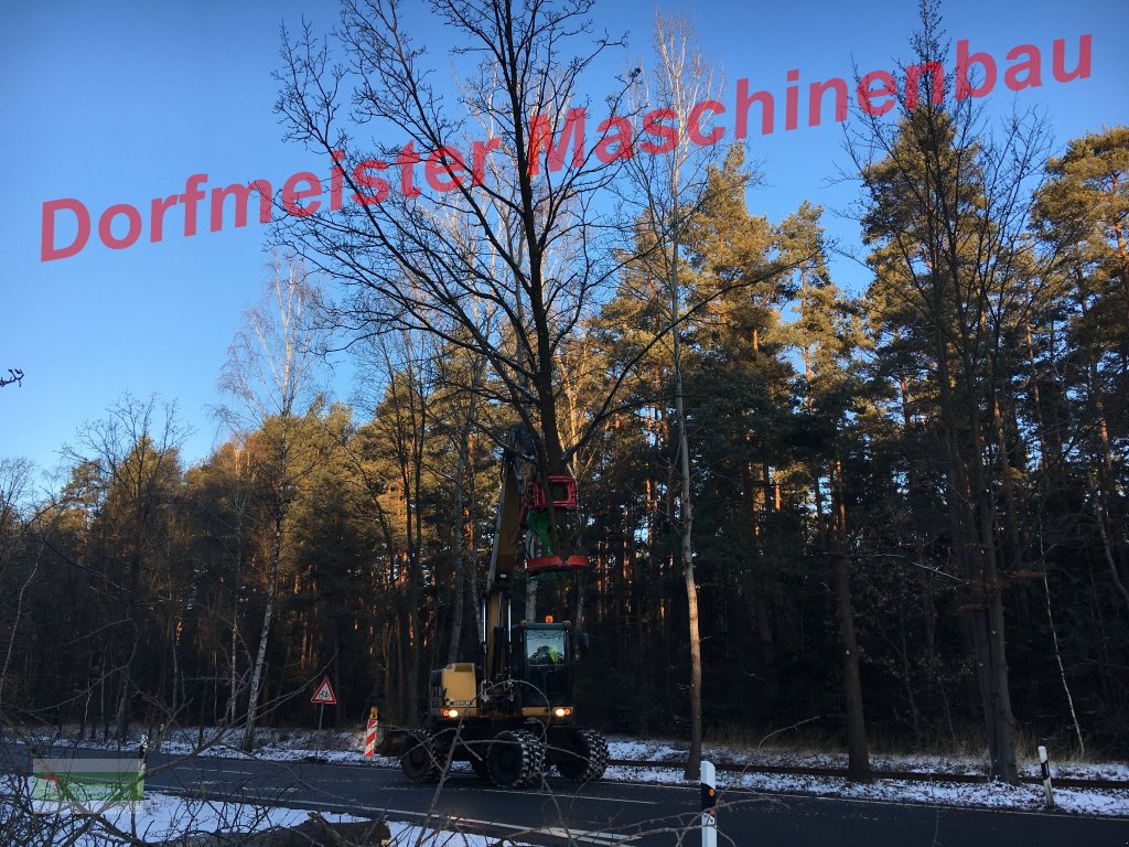 Aggregat & Anbauprozessor van het type Dorfmeister Fällgreifer Baumschere HBS 350, Neumaschine in Roßbach (Foto 15)