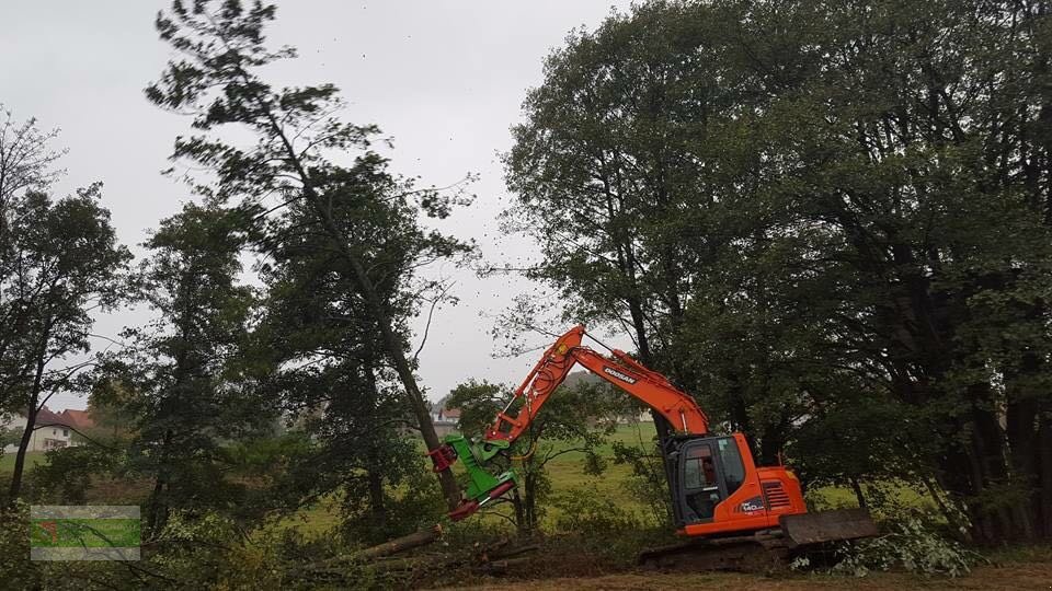 Aggregat & Anbauprozessor des Typs Dorfmeister HBS 450 Fällgreifer Baumschere, Neumaschine in Roßbach (Bild 2)