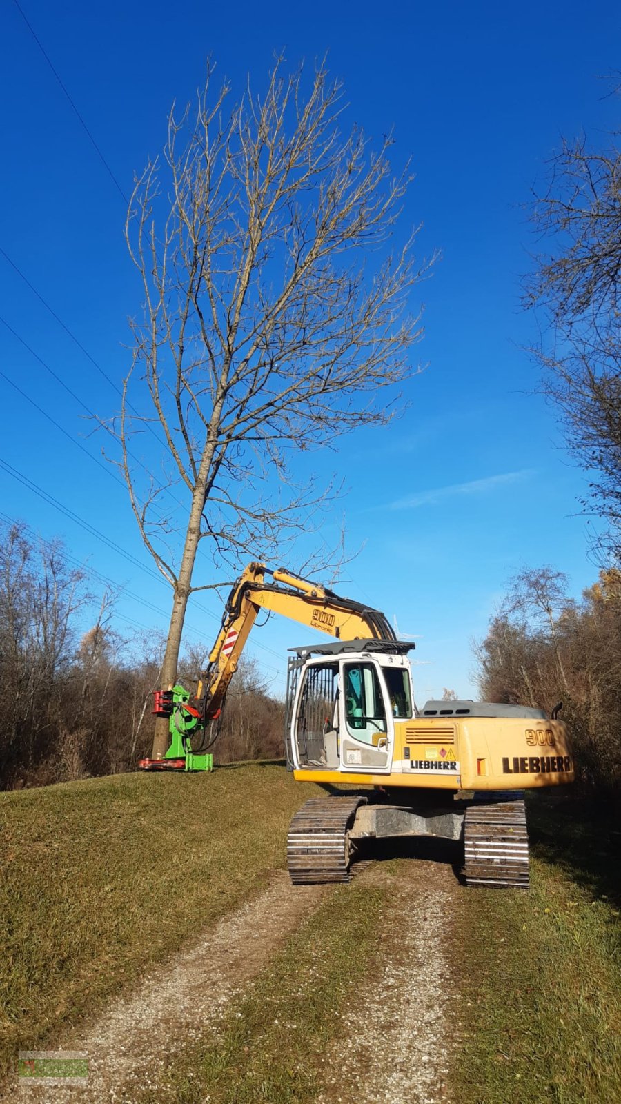 Aggregat & Anbauprozessor typu Dorfmeister HBS 450 Fällgreifer Baumschere, Neumaschine v Roßbach (Obrázek 3)