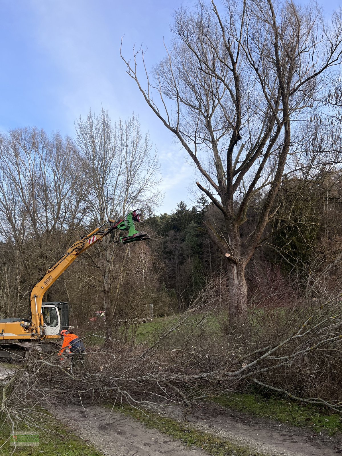 Aggregat & Anbauprozessor Türe ait Dorfmeister HBS 450 Fällgreifer Baumschere, Neumaschine içinde Roßbach (resim 4)