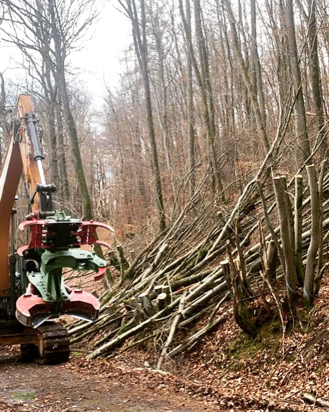 Aggregat & Anbauprozessor typu Dorfmeister HBS 450 Fällgreifer Baumschere, Neumaschine v Roßbach (Obrázok 9)