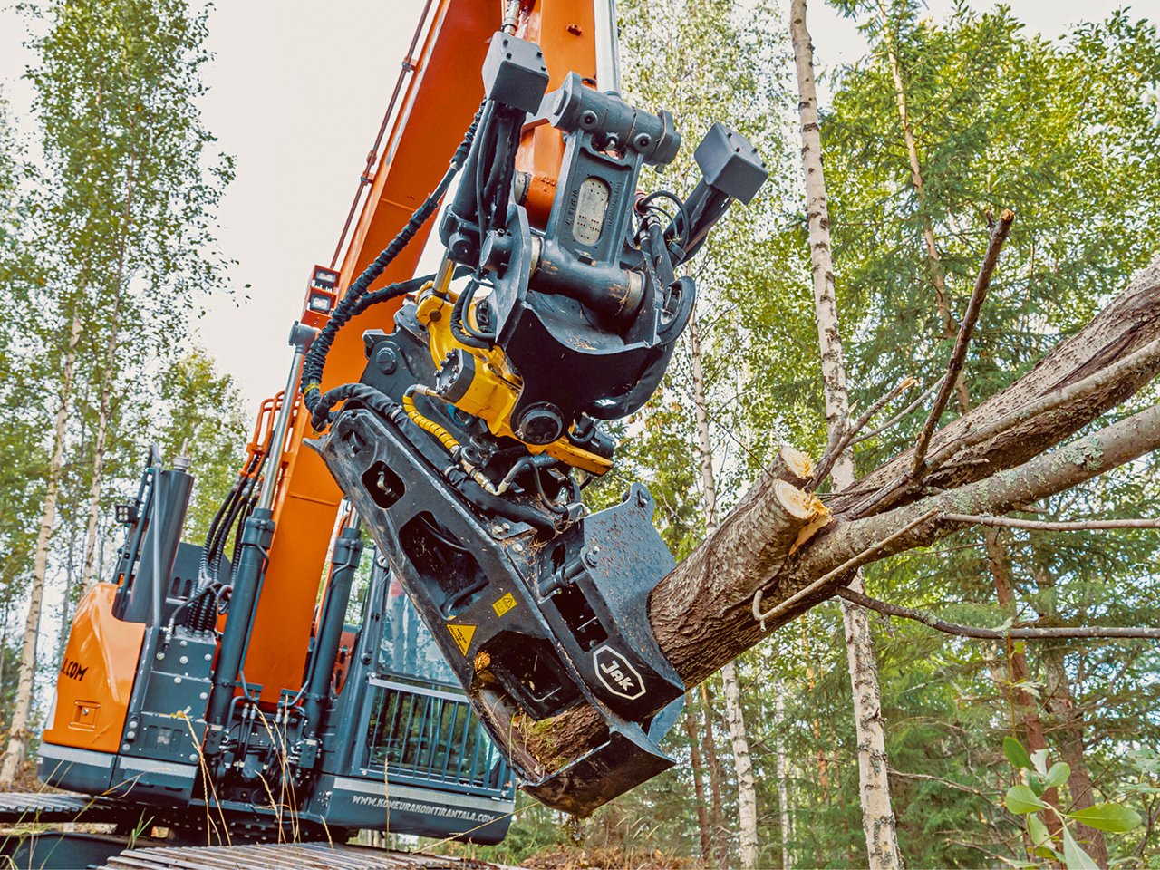 Aggregat & Anbauprozessor Türe ait Reil & Eichinger Fällgreifer JAK 300 C für Bagger, Neumaschine içinde Nittenau (resim 4)