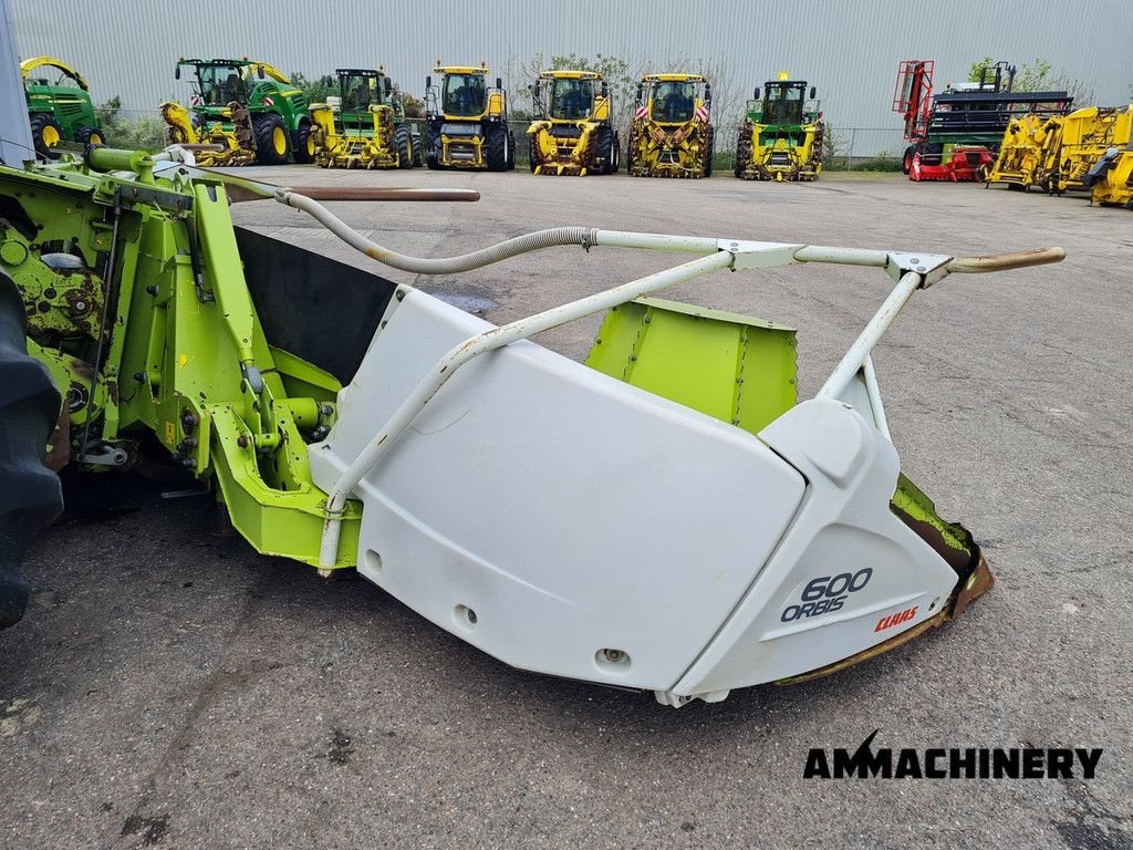 Anbauhäcksler & Anhängehäcksler tip Sonstige Claas Orbis 600, Gebrauchtmaschine in Horst (Poză 2)