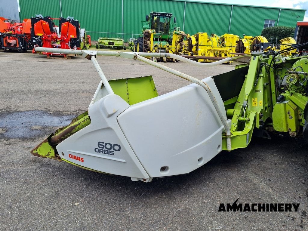 Anbauhäcksler & Anhängehäcksler des Typs Sonstige Claas Orbis 600, Gebrauchtmaschine in Horst (Bild 4)