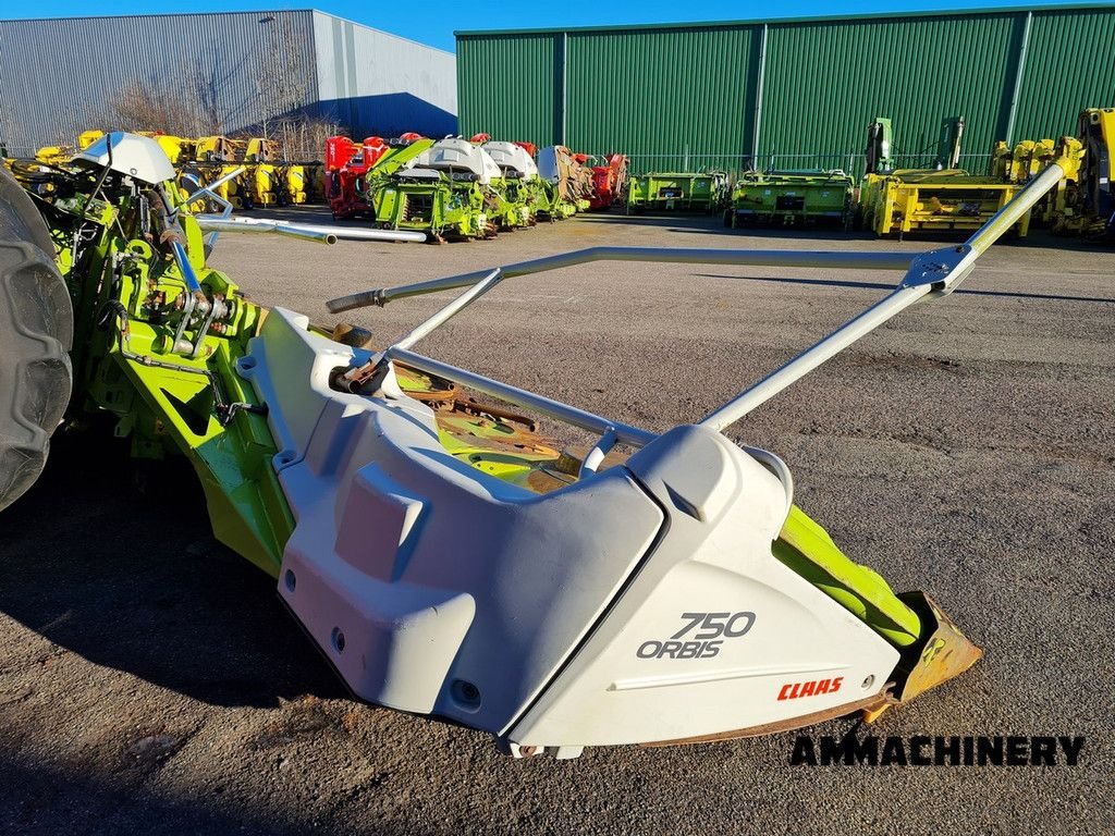 Anbauhäcksler & Anhängehäcksler du type Sonstige Claas Orbis 750, Gebrauchtmaschine en Horst (Photo 3)