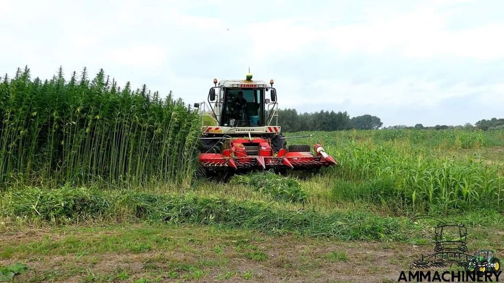 Anbauhäcksler & Anhängehäcksler typu Sonstige Hemp harvest header 4.5 meter, Gebrauchtmaschine w Horst (Zdjęcie 9)