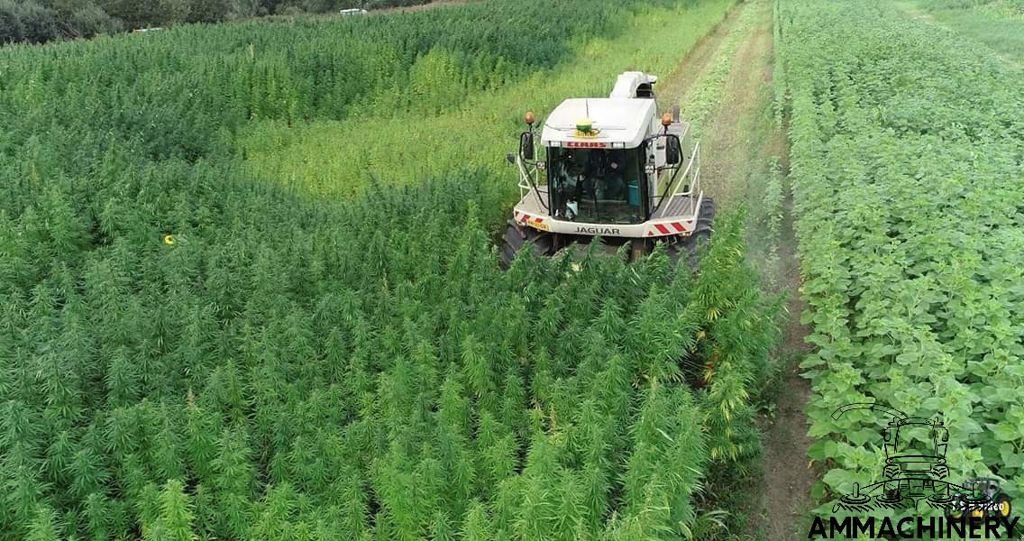 Anbauhäcksler & Anhängehäcksler des Typs Sonstige Hemp harvest header 4.5 meter, Gebrauchtmaschine in Horst (Bild 8)