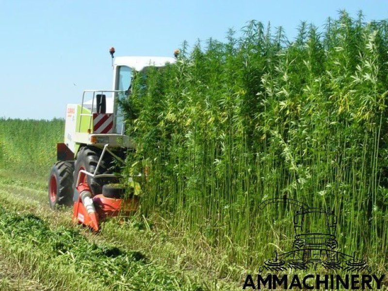 Anbauhäcksler & Anhängehäcksler des Typs Sonstige Hemp harvest header 4.5 meter, Gebrauchtmaschine in Horst (Bild 10)