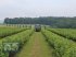 Anhänge-Gebläsespritze  van het type DRAGONE GL 2+2 1000 Gebläsespritze /Sprühgerät für Obst - und Weinbau, Neumaschine in Schmallenberg (Foto 12)