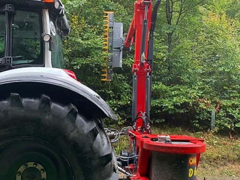 Astschere del tipo Sonstige Astschere Heckenschere Baumschere Baumsäge, Gebrauchtmaschine en Schmallenberg (Imagen 1)