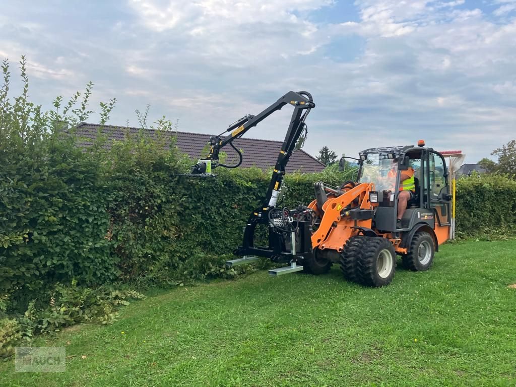 Astschere tip Sonstige Ausleger mit Heckenschere, Neumaschine in Burgkirchen (Poză 3)