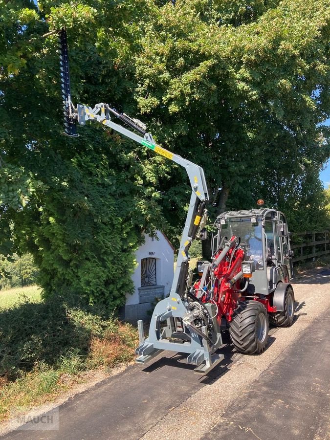 Astschere Türe ait Sonstige Ausleger mit Heckenschere, Neumaschine içinde Burgkirchen (resim 4)