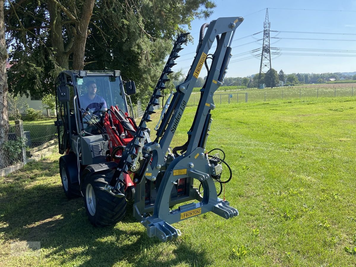 Astschere del tipo Sonstige Frontoni Spider Ausleger mit Heckenschere, Neumaschine In Burgkirchen (Immagine 3)