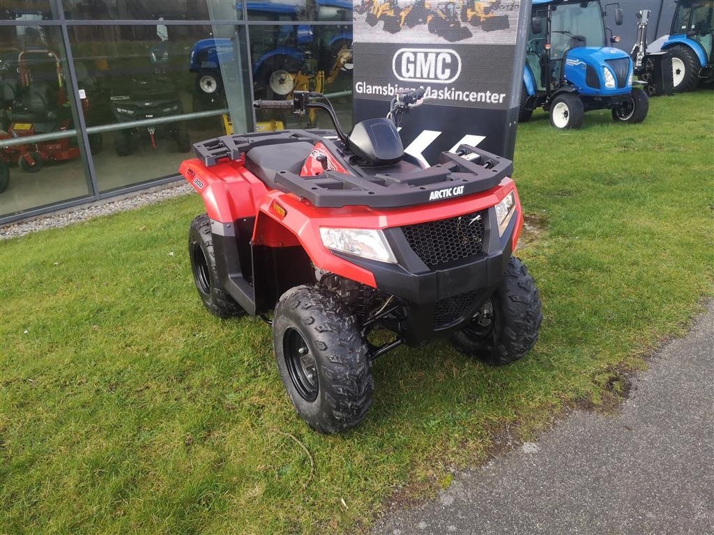 ATV & Quad typu Arctic Cat Alterra 300 4x2, Gebrauchtmaschine w Glamsbjerg (Zdjęcie 1)