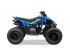 ATV & Quad типа CF Moto CFORCE 110 EFI Børne ATV, Gebrauchtmaschine в Aabenraa (Фотография 2)