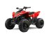 ATV & Quad типа CF Moto CFORCE 110 EFI Børne ATV, Gebrauchtmaschine в Aabenraa (Фотография 1)