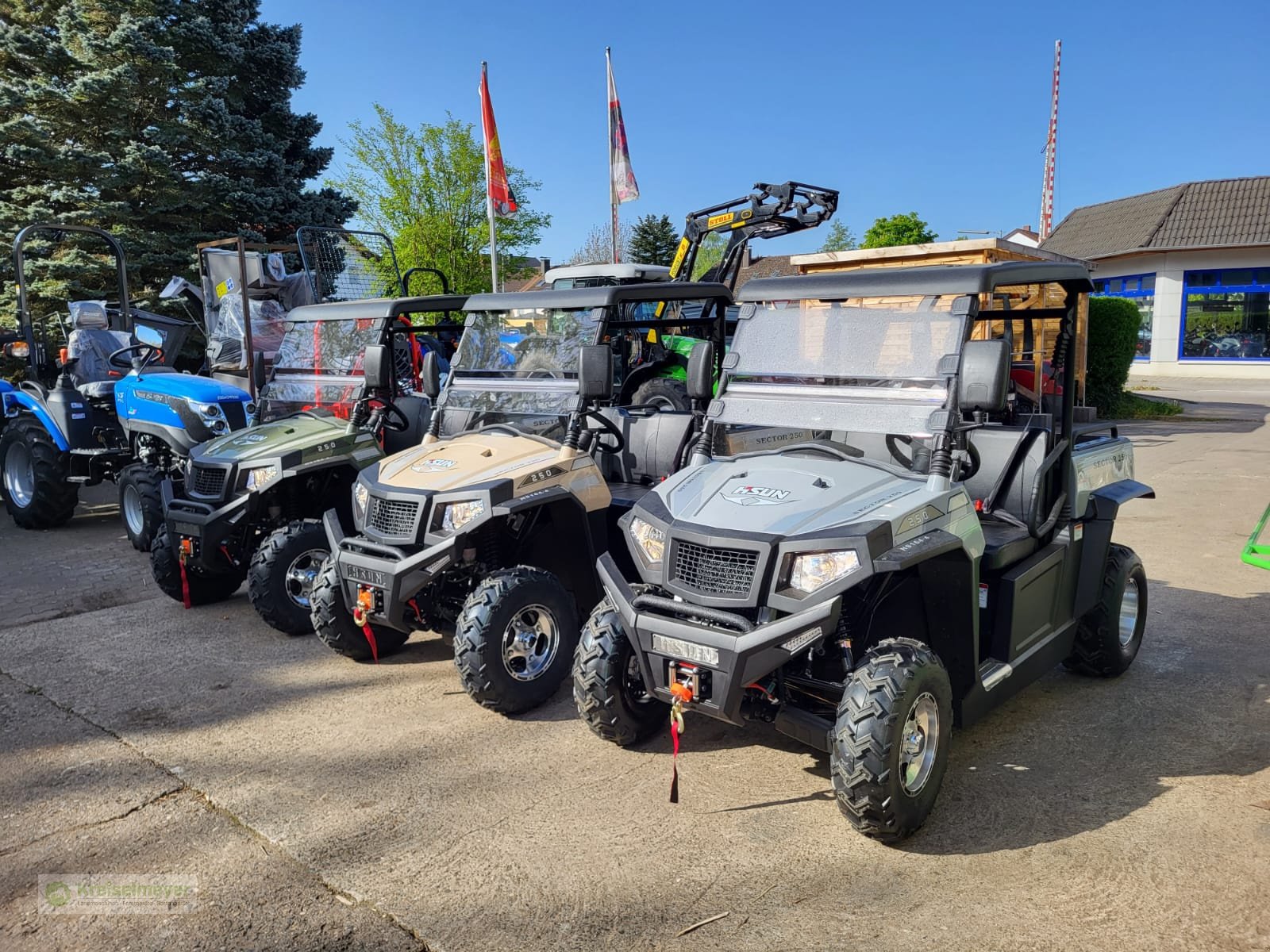 ATV & Quad του τύπου Hisun Sector 250 Avocado / grün + Seilwinde + StVZO Zulassungspapiere NEU UTV, Neumaschine σε Feuchtwangen (Φωτογραφία 12)