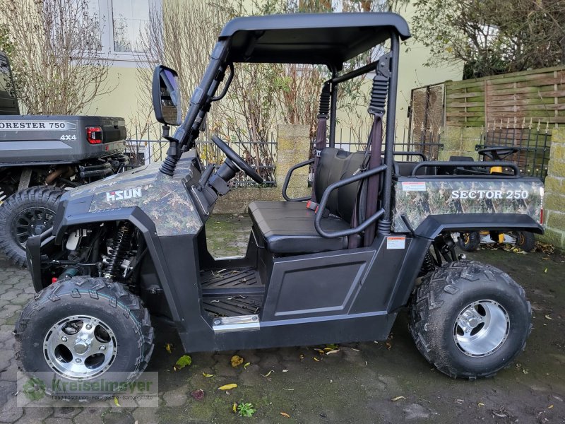 ATV & Quad типа Hisun Sector 250 + Dach + Frontscheibe + Seilwinde Camouflage NEU UTV Buggy, Neumaschine в Feuchtwangen