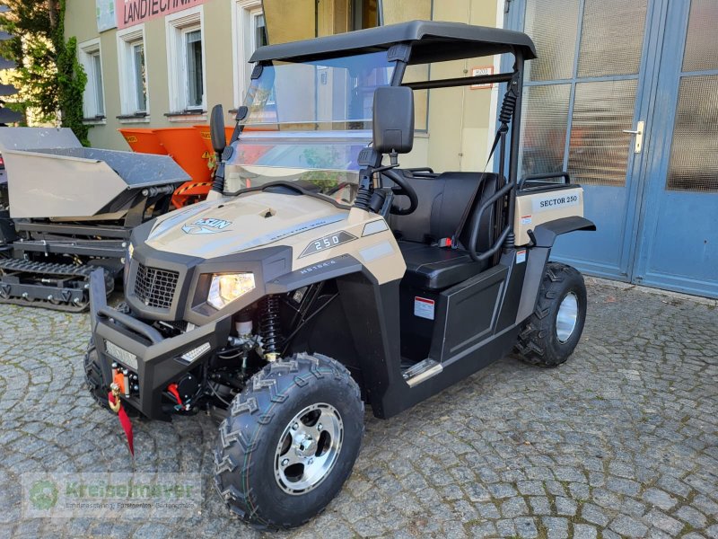 ATV & Quad of the type Hisun Sector 250 sand / beige + Seilwinde + StVZO Zulassungspapiere NEU UTV, Neumaschine in Feuchtwangen (Picture 1)