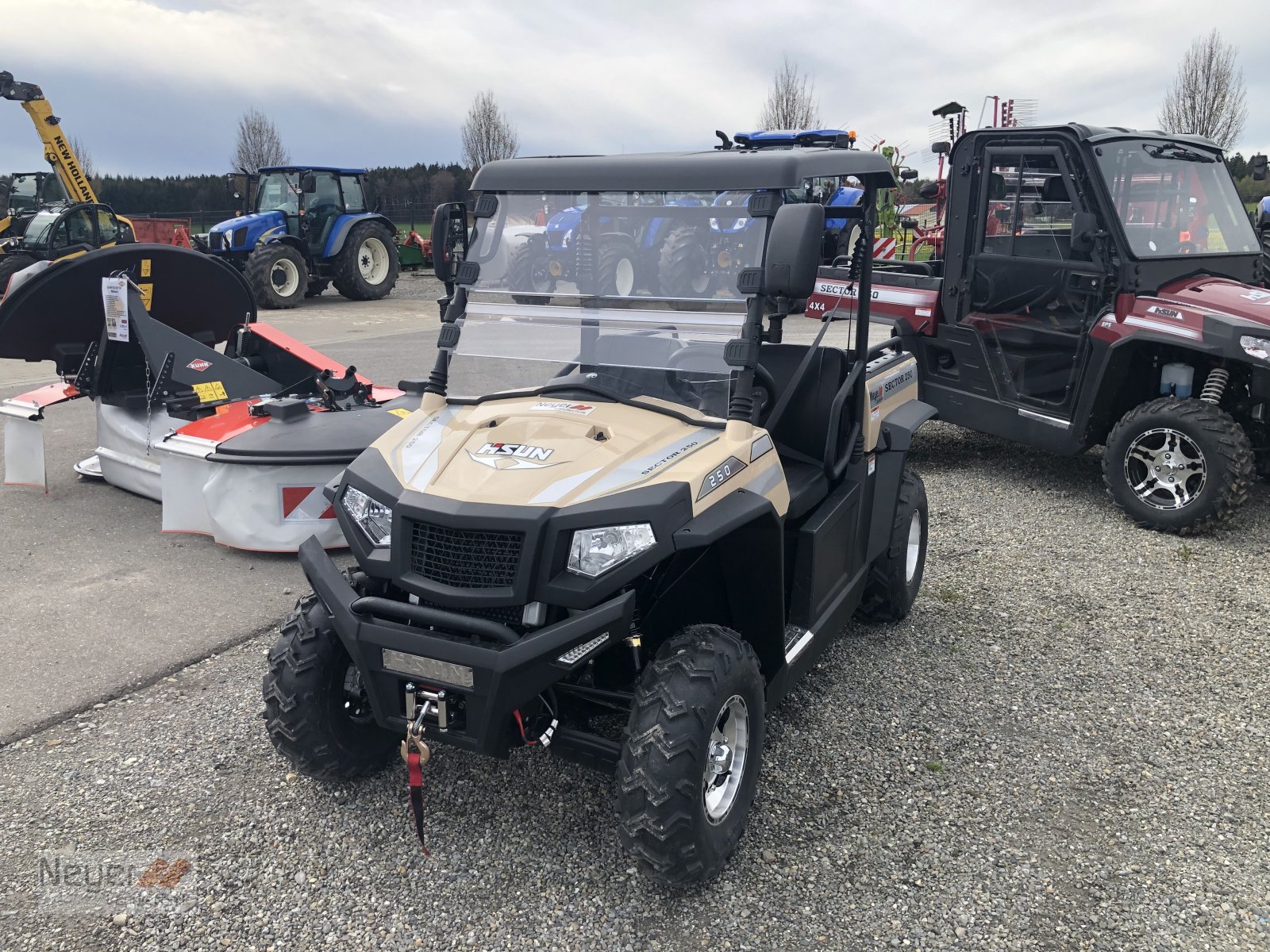 ATV & Quad typu Hisun SECTOR 250, Neumaschine w Bad Waldsee Mennisweiler (Zdjęcie 10)