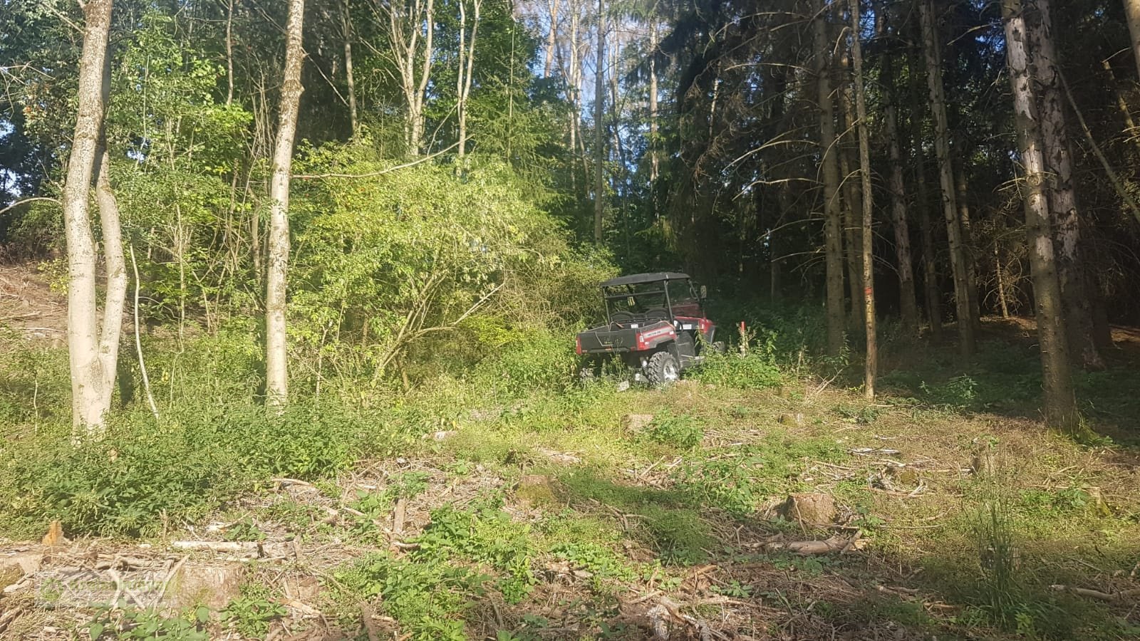 ATV & Quad Türe ait Hisun Sector 450 Allrad 4x4 + Differenzial-Sperre + Straßenzulassung UTV, Forstfahrzeug, Buggy, Gator,, Neumaschine içinde Feuchtwangen (resim 16)