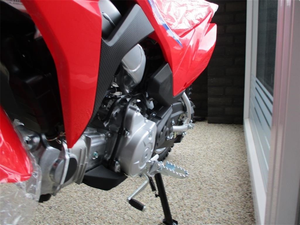 ATV & Quad des Typs Honda CRF 110 F Den nye model, Gebrauchtmaschine in Lintrup (Bild 7)