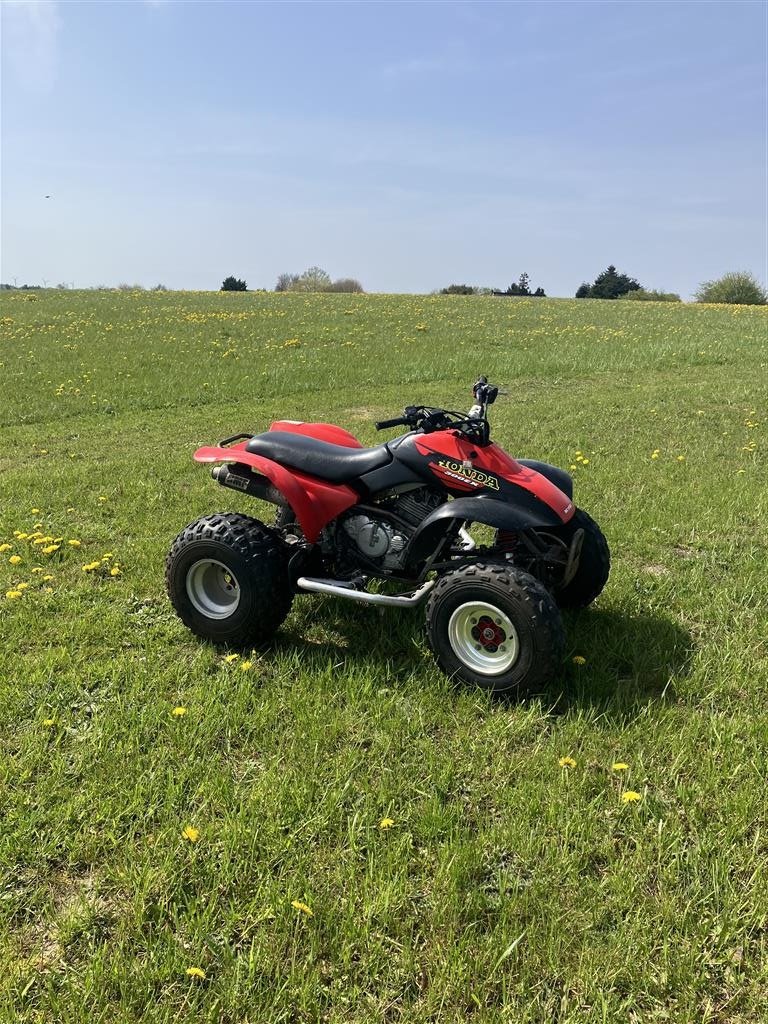 ATV & Quad типа Honda TRX300EX, Gebrauchtmaschine в Glamsbjerg (Фотография 4)