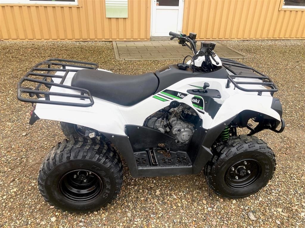 ATV & Quad del tipo Kawasaki KVF 300, Gebrauchtmaschine In Tinglev (Immagine 2)