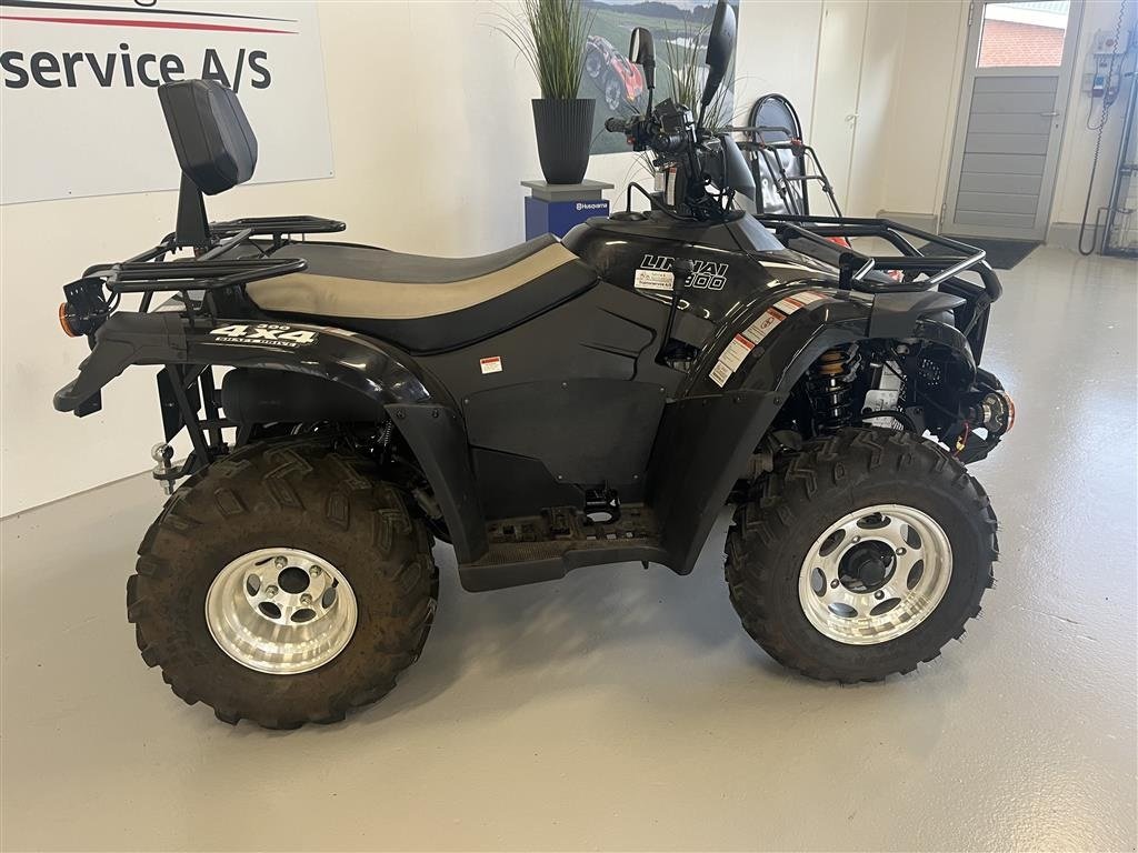 ATV & Quad za tip Linhai 300 4X4 Sort, ATV, Gebrauchtmaschine u Spøttrup (Slika 2)