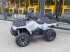 ATV & Quad del tipo Linhai F320 T3A Godkendt, Gebrauchtmaschine en Rødekro (Imagen 3)