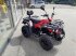 ATV & Quad του τύπου Linhai M210, Gebrauchtmaschine σε Rødekro (Φωτογραφία 1)