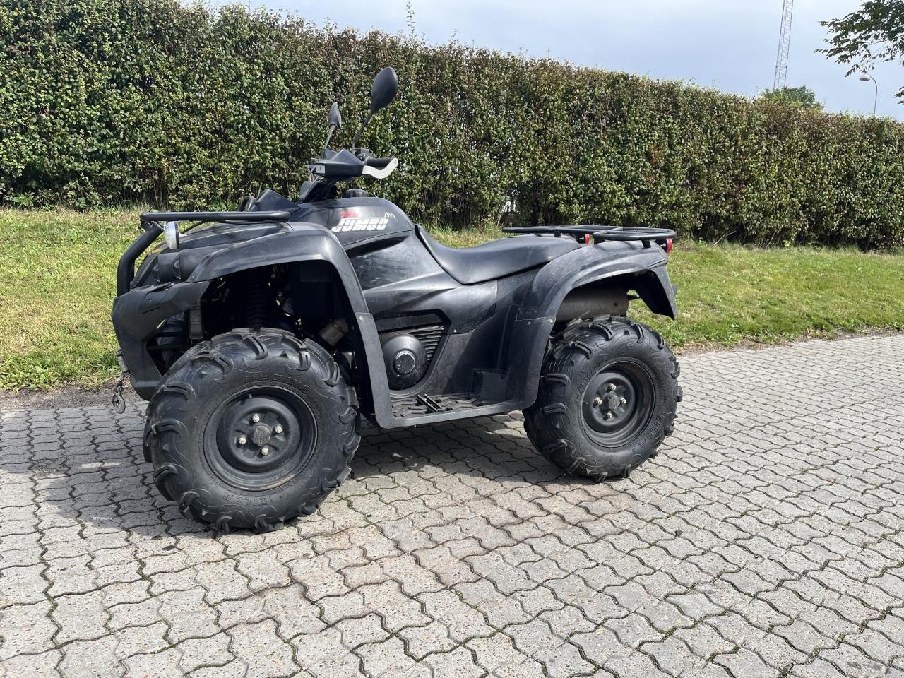 ATV & Quad typu Maskiner ATV EFI 700 4X4 T3, Gebrauchtmaschine v Toftlund (Obrázek 2)