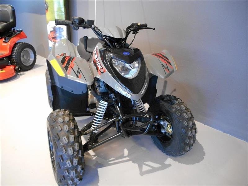 ATV & Quad of the type Polaris Phoenix 200, Gebrauchtmaschine in Mern (Picture 6)