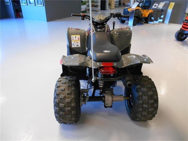 ATV & Quad typu Polaris Phoenix 200, Gebrauchtmaschine v Mern (Obrázek 4)