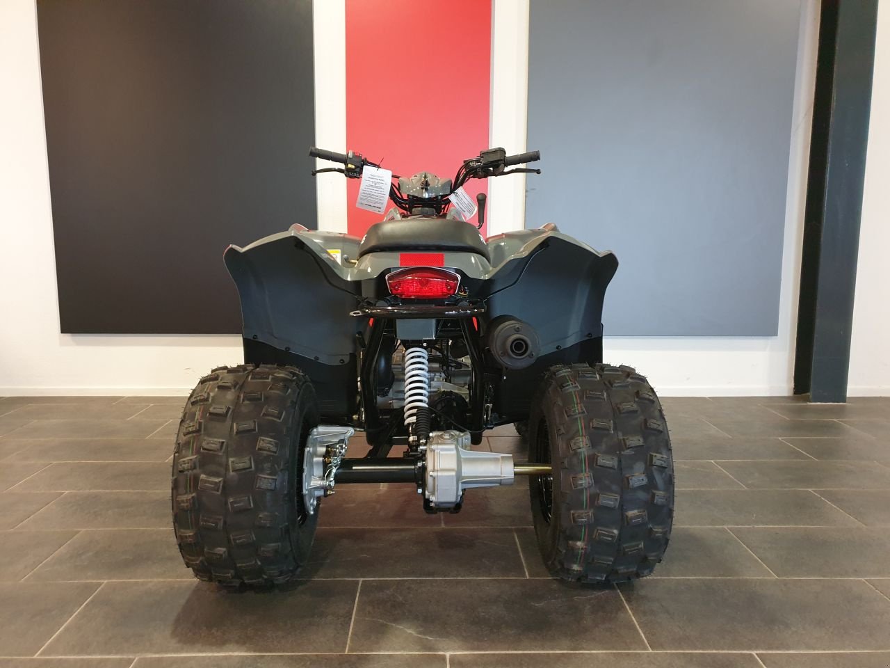 ATV & Quad tipa Polaris Phoenix 200, Gebrauchtmaschine u Geesteren (OV) (Slika 7)