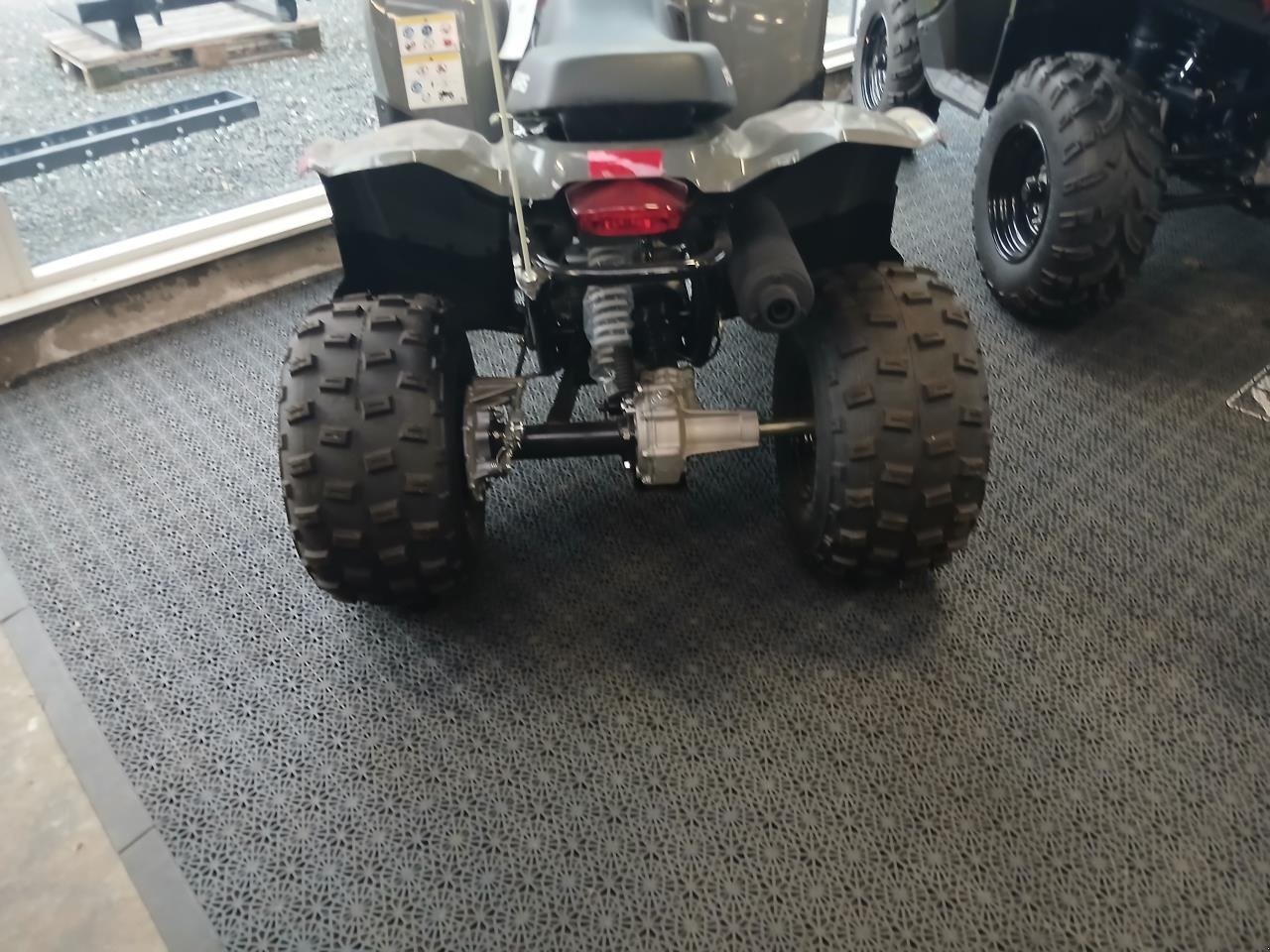 ATV & Quad typu Polaris PHOENIX 200, Gebrauchtmaschine w Give (Zdjęcie 3)