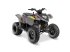 ATV & Quad du type Polaris PHOENIX 200, Gebrauchtmaschine en Give (Photo 1)