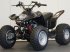 ATV & Quad des Typs Sonstige 100 Racing Edition Demo, Gebrauchtmaschine in Aabenraa (Bild 1)