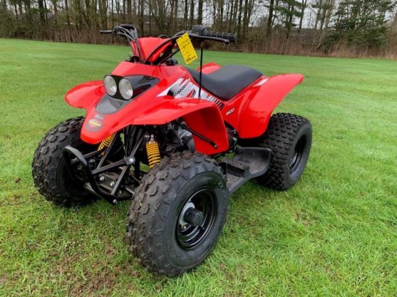 ATV & Quad van het type Sonstige 100 SPORT, Gebrauchtmaschine in Jelling (Foto 2)