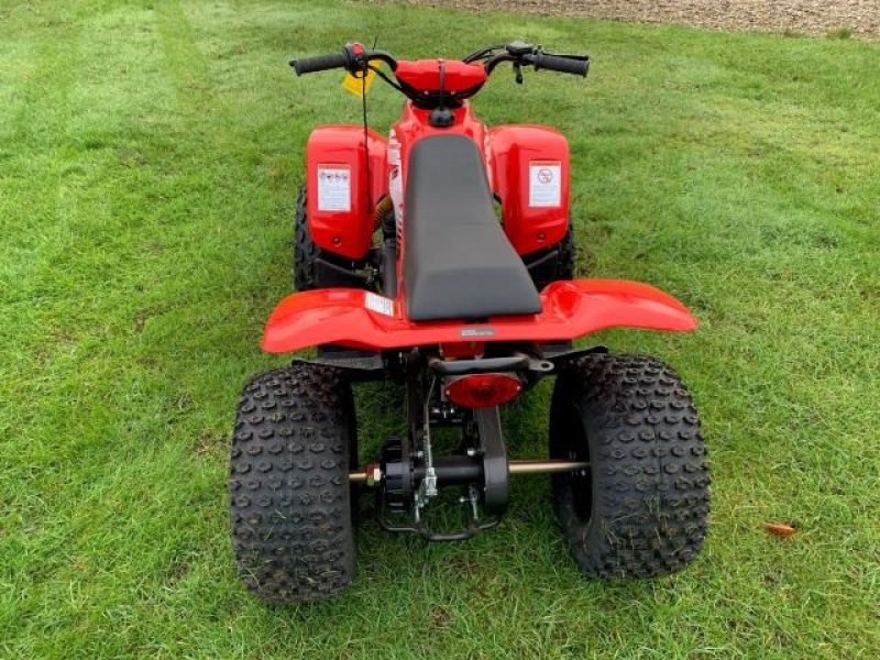 ATV & Quad a típus Sonstige 100 SPORT, Gebrauchtmaschine ekkor: Jelling (Kép 3)