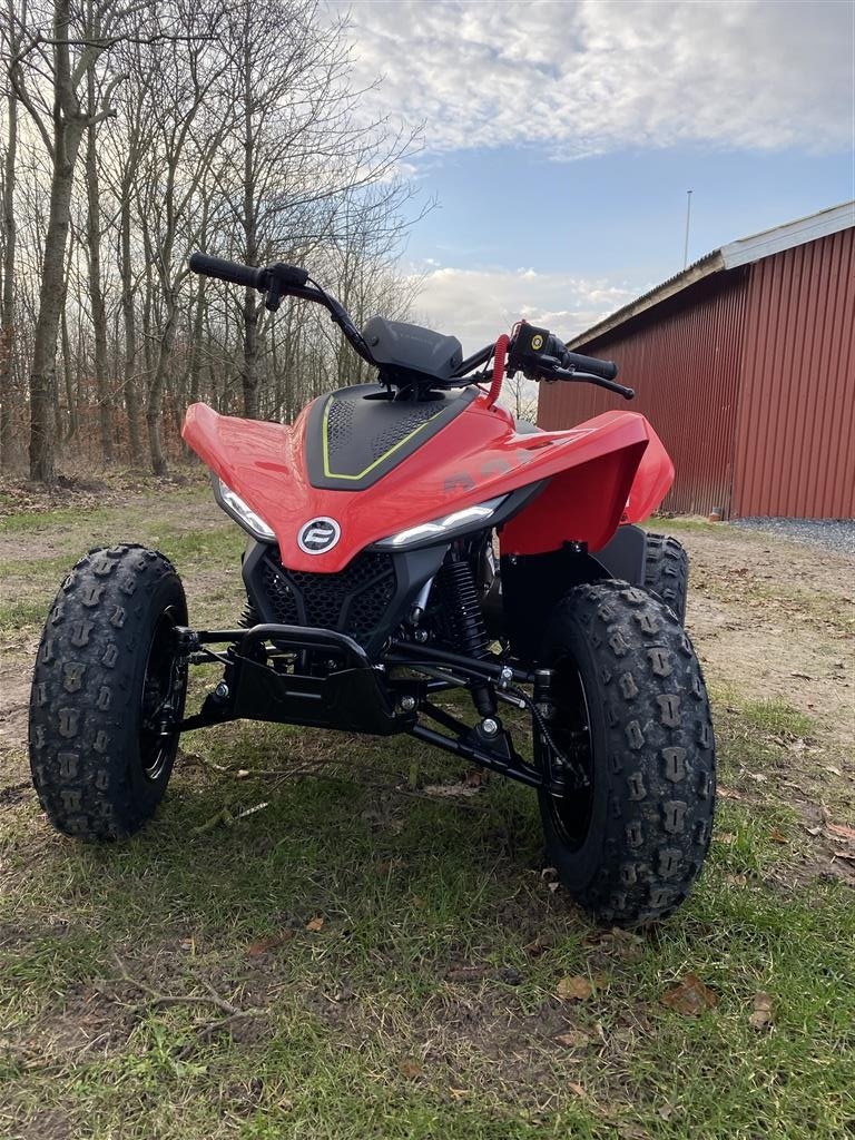 ATV & Quad of the type Sonstige 110 EFI, Gebrauchtmaschine in Vodskov (Picture 1)