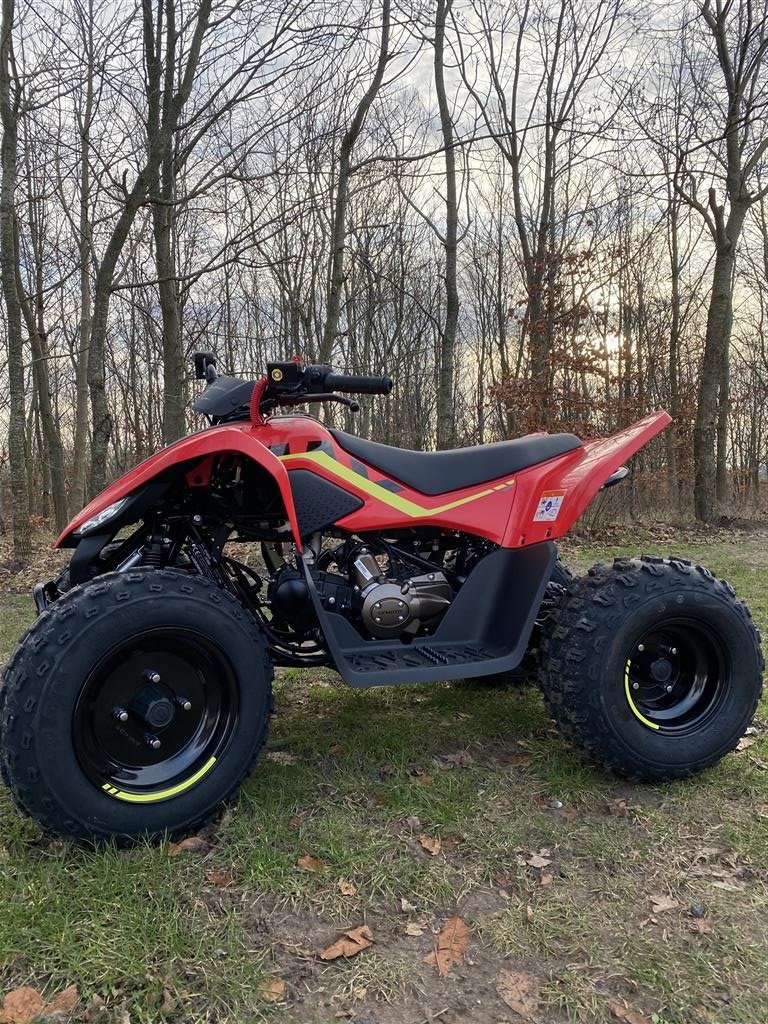 ATV & Quad of the type Sonstige 110 EFI, Gebrauchtmaschine in Vodskov (Picture 2)