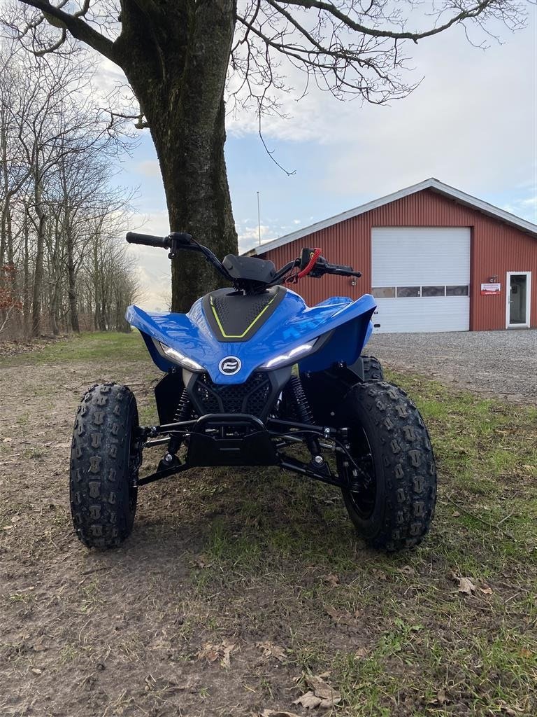 ATV & Quad tip Sonstige 110 EFI, Gebrauchtmaschine in Vodskov (Poză 3)