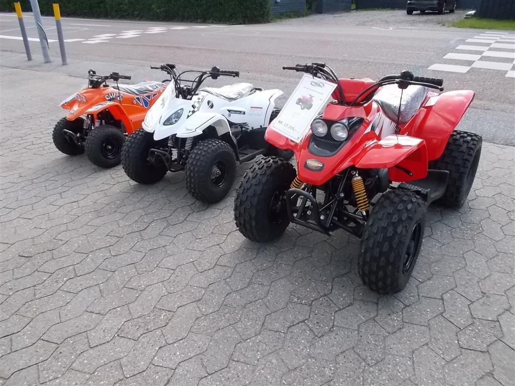 ATV & Quad του τύπου Sonstige 50-90-100 ccm, Gebrauchtmaschine σε Roslev (Φωτογραφία 2)