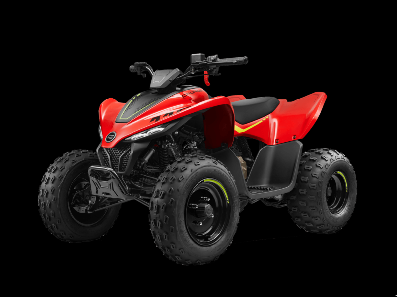 ATV & Quad του τύπου Sonstige CFORCE 110 BASIC, Gebrauchtmaschine σε LA SOUTERRAINE (Φωτογραφία 1)