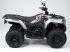 ATV & Quad typu Sonstige COPPER 3.0, Gebrauchtmaschine v LA SOUTERRAINE (Obrázek 2)